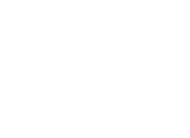 Return to Aston Marina home page