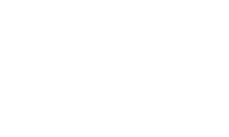 Return to Balmer Lawn Hotel & Spa home page