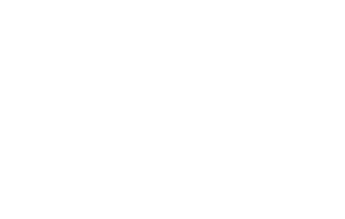Return to Windmill Clapham home page