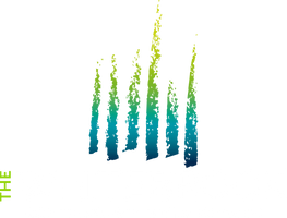 Return to The Whitebrook home page