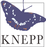 Return to Knepp Wilding Kitchen & Shop home page